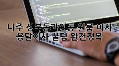 나주 성북동/과원동 원룸 이사, 용달이사 꿀팁 완전정복!