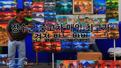 장수군 중고차 매입 최고가 견적 받는 방법!