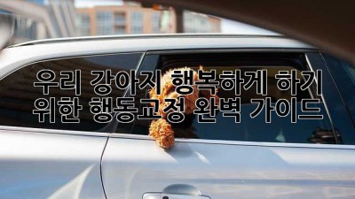 우리 강아지, 행복하게 하기 위한 행동교정 완벽 가이드