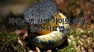 파킨슨병 완벽 가이드: 원인, 증상, 치료법